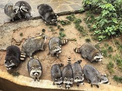 -云南野生动物园