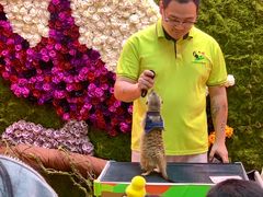 -正佳雨林生态植物园
