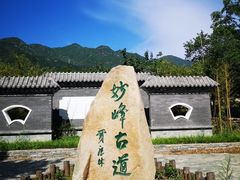 -阳台山自然风景区