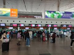 -厦门高崎国际机场-T3航站楼