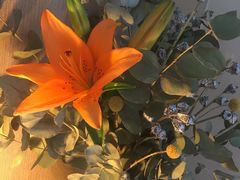 -ChaKo Flora ·茶子花艺 (市北店)