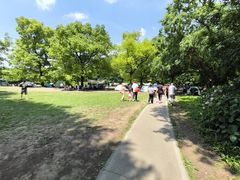 -上海共青森林公园