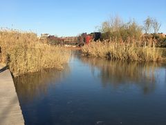 -天津东丽湖风景区