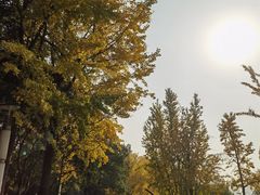 -苏州河梦清园环保主题公园