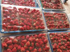 -大连果菜批发市场