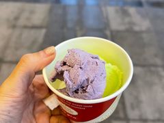 -辽宁大厦天然居自助餐(黄河南大街店)