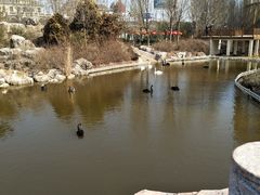 -临沂极地海洋王国