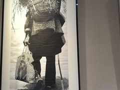 -四川美术馆