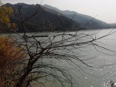 -羚羊峡古栈道森林公园