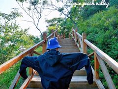 -大岭沟猕猴桃谷风景区