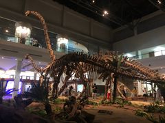 -自贡恐龙博物馆