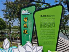 -焦岗湖旅游度假区