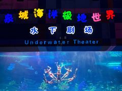 -泉城欧乐堡海洋极地世界