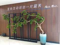 -哈尔滨龙晟雷克萨斯