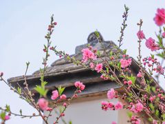 -乌山风景区