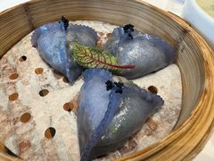 -千灯盛汇·头牌粤菜(致越优城店)