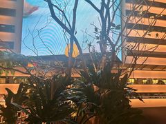 -桂满陇·海市蜃楼·黑金(国金店)