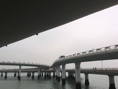 -演武大桥观景平台