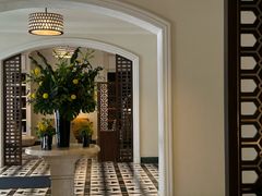 -新加坡航空公司(ION)