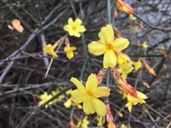 -国家植物园南园