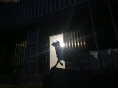 -上海证券交易所(上海证券大厦北塔店)