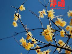 -龙美术馆西岸馆-停车场