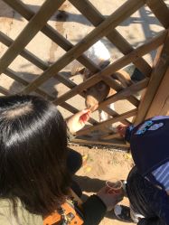 -萌宠亲子动物乐园(槐房万达店)