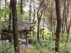 -铁山坪森林公园