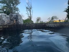 -青岛海泉湾度假区温泉