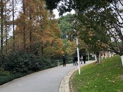 -大宁灵石公园西门票处