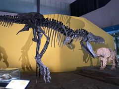 -湖南省地质博物馆