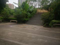 -晓港公园