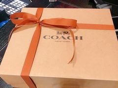 -COACH蔻驰(百联奥特莱斯店)