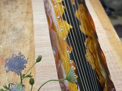 -禅韵琴社 古琴茶道香道插花培训(西华门店)