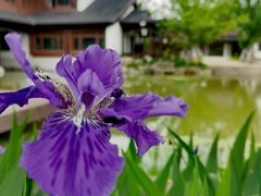 -石湖景区