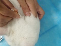 -美迦爱-牙专科·兔科·骨科诊疗中心(北苑店)