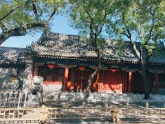 -北京第二实验小学