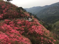 -木兰云雾山