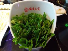 油麦菜-狼爱上羊音乐火锅