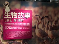 -香港科学馆