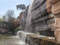 -石家庄市植物园