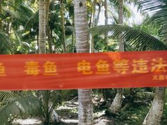 -东郊椰林