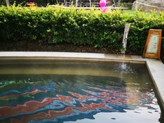 -思念果岭悦温泉