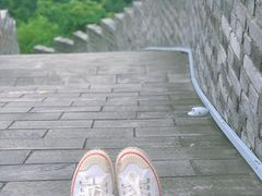 -黄贤森林公园