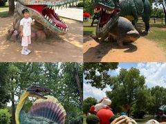-中国西峡恐龙遗迹园