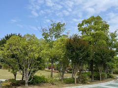 -尚贤河湿地