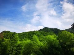 -宁海安岚·南溪阁全日餐厅