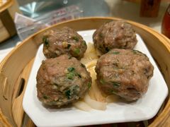陈皮蒸牛肉丸-宝园酒家(美林M·LIVE天地东座店)