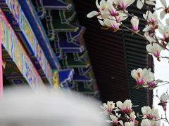 -皇罗禅寺