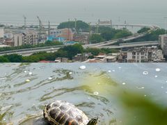-鸿山公园